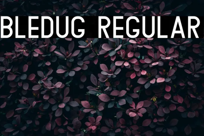 Bledug Regular Example 1