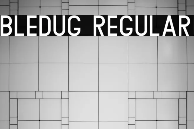 Bledug Regular Example 2