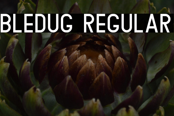 Bledug Regular Example 3