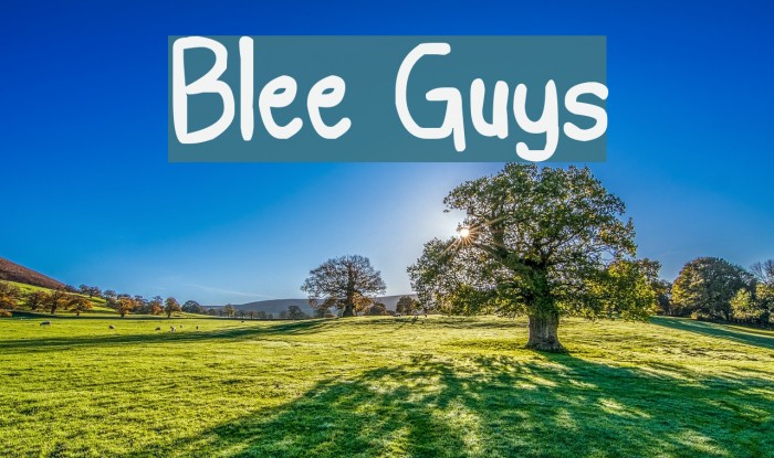 Blee Guys Font examples