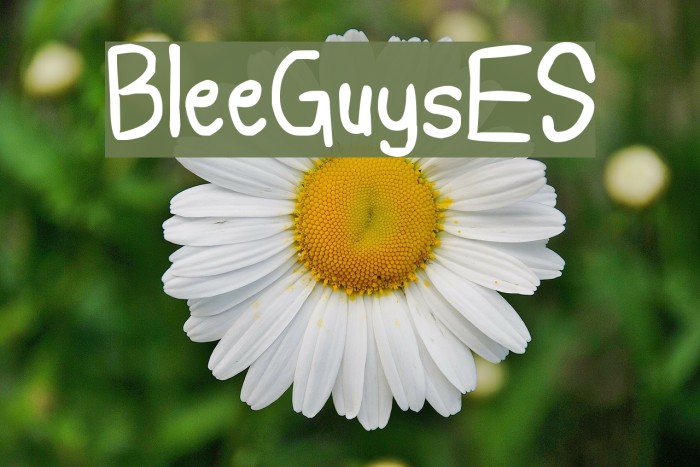 BleeGuysES Font examples