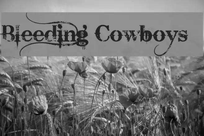 Bleeding Cowboys Font examples