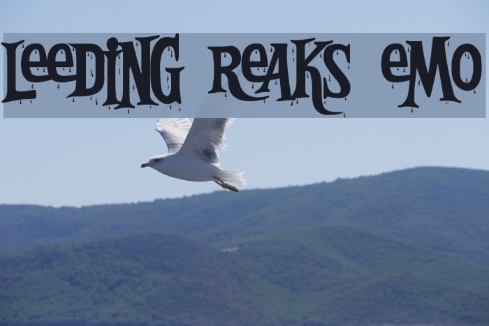 Bleeding Freaks Demo Font examples