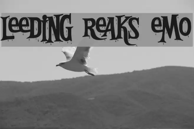 Bleeding Freaks Demo Schriftart examples