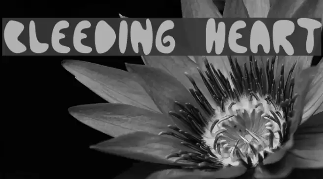 Bleeding Heart Font examples