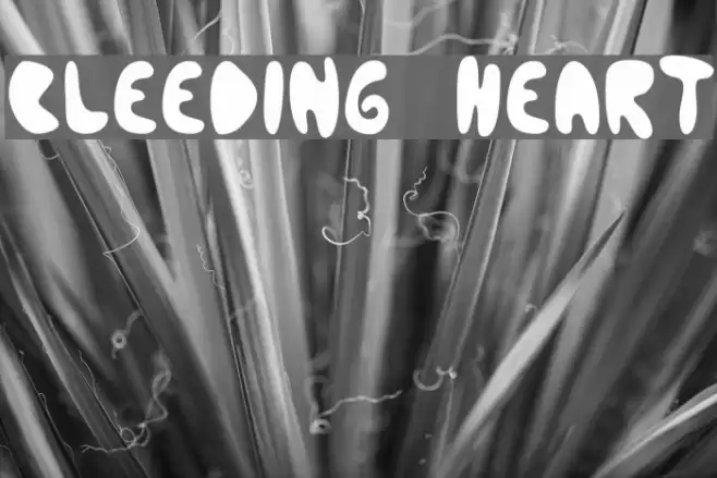 Bleeding Heart Font examples