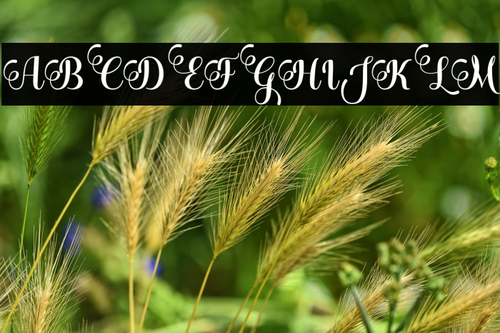 BleedingHeart Example 2