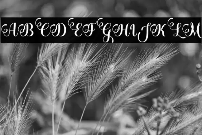 BleedingHeart Font examples