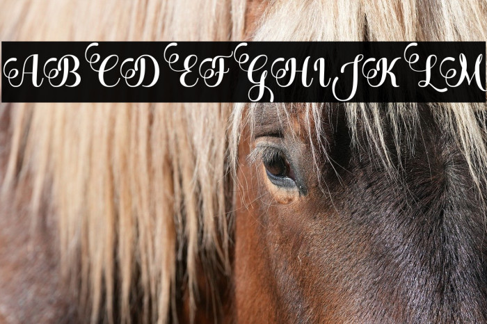 BleedingHeart Example 3