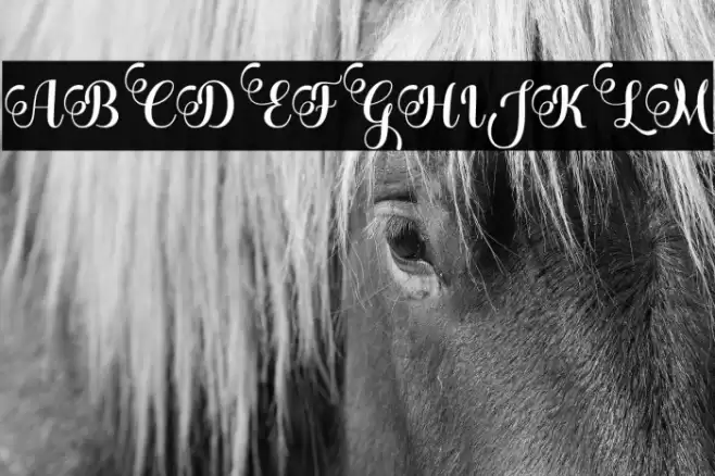 BleedingHeart Font examples