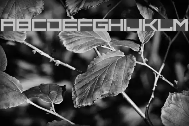 Blend Her Font examples