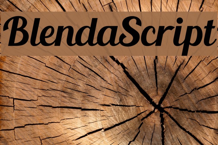BlendaScript Font examples