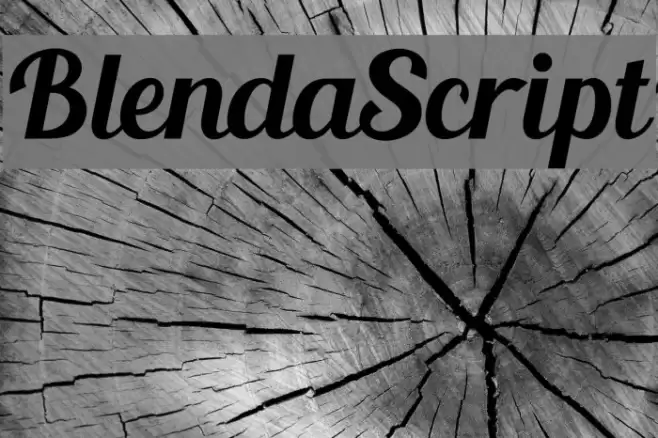 BlendaScript Font examples