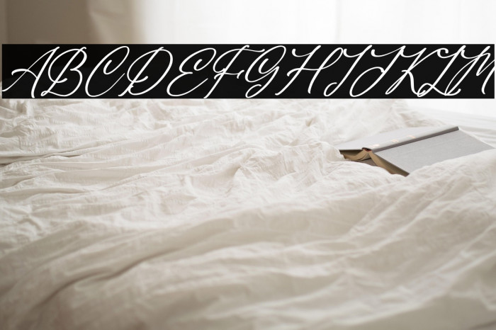 Blendaria Italic Example 3