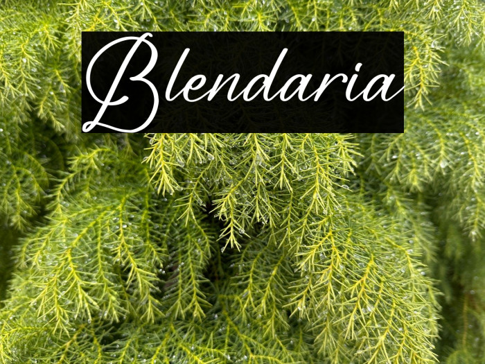Blendaria Example 3