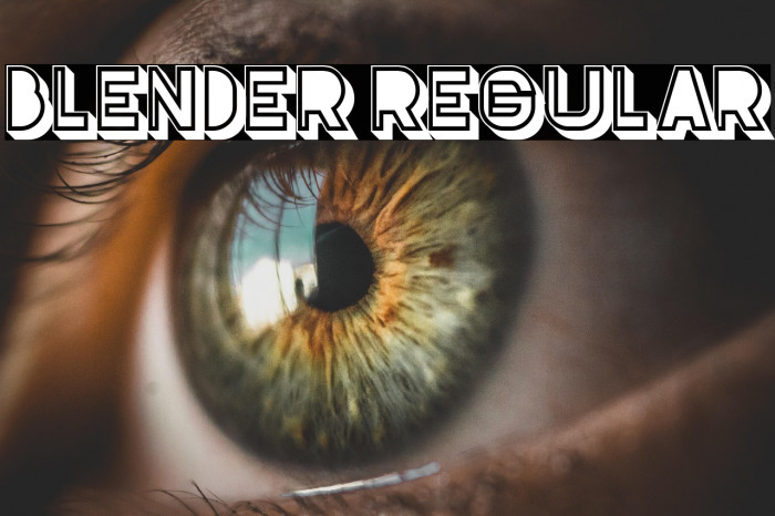 Blender Regular Example 3