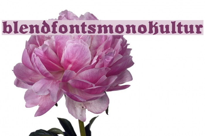 BlendfontsMonokultur Font examples