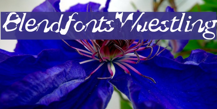 BlendfontsWuestling Font examples
