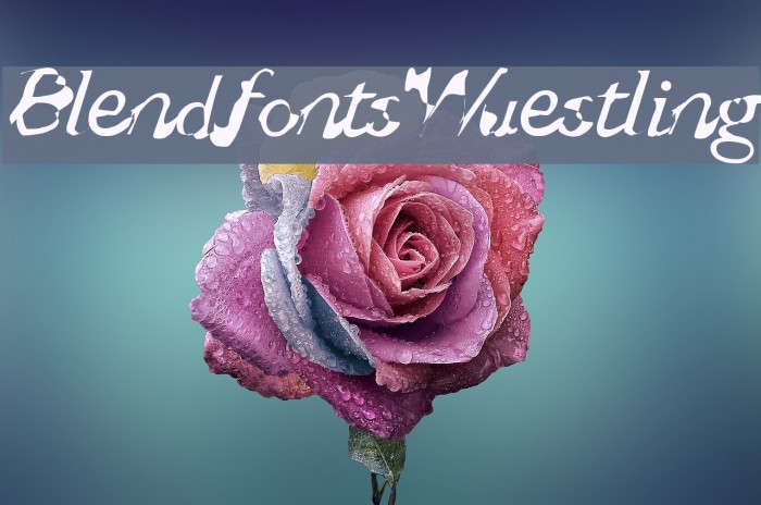 BlendfontsWuestling Font examples