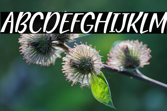 Blending Attraction Italic Example 2