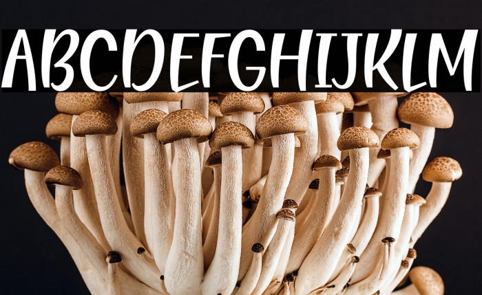 Blending Attraction Example 1