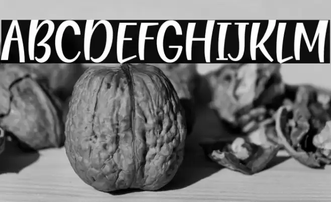 Blending Attraction 字体 examples