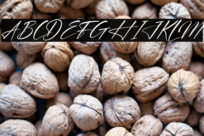 Blendstera Italic Example 3