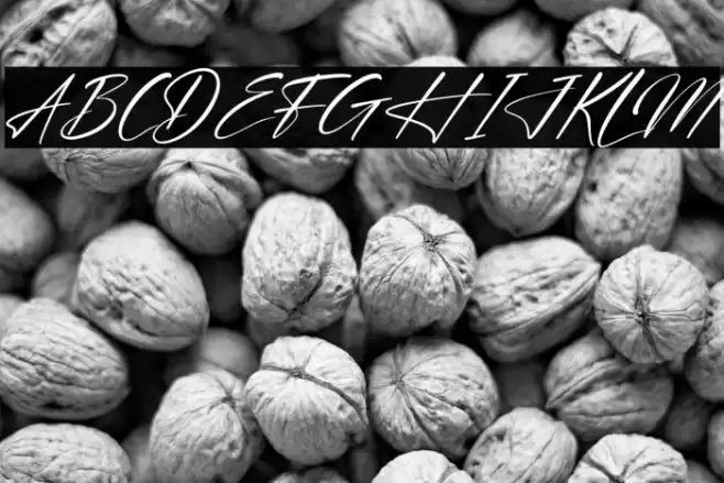 Blendstera Italic Font examples