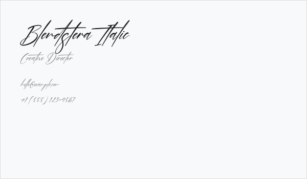 Blendstera Italic Business Card