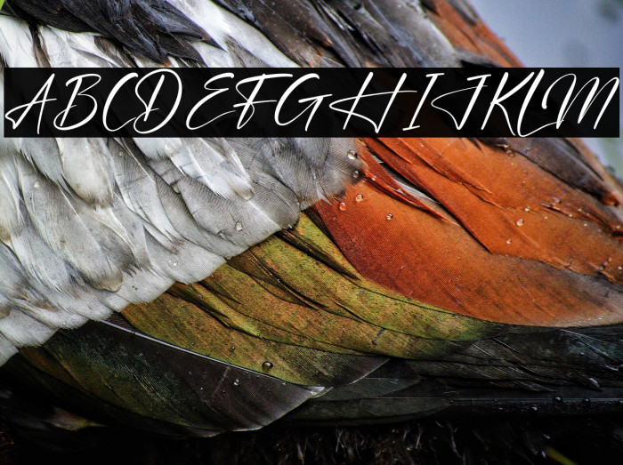 Blendstera Example 3