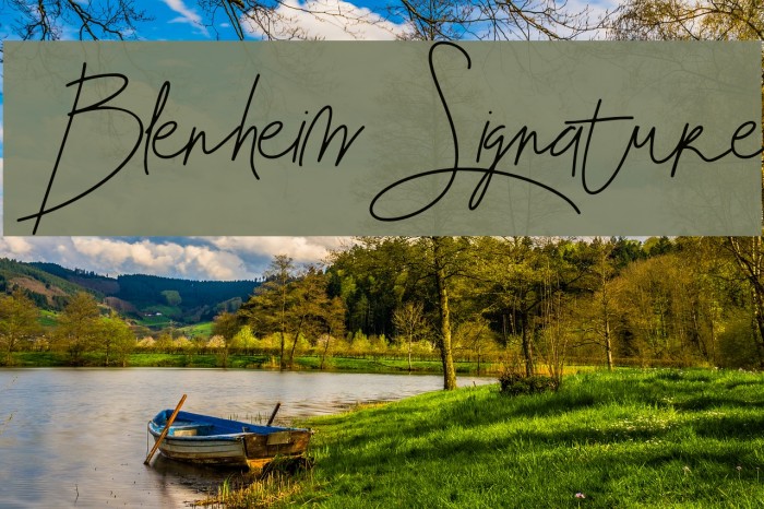 Blenheim Signature Font examples