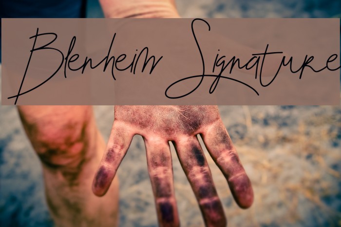 Blenheim Signature Font examples