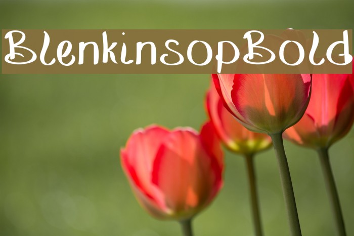 BlenkinsopBold Font examples