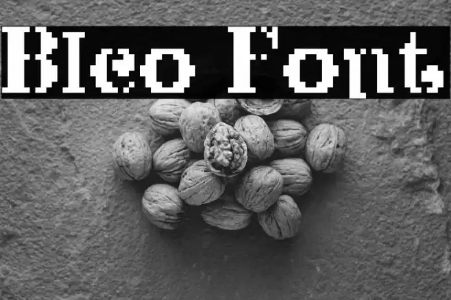 Bleo Font examples