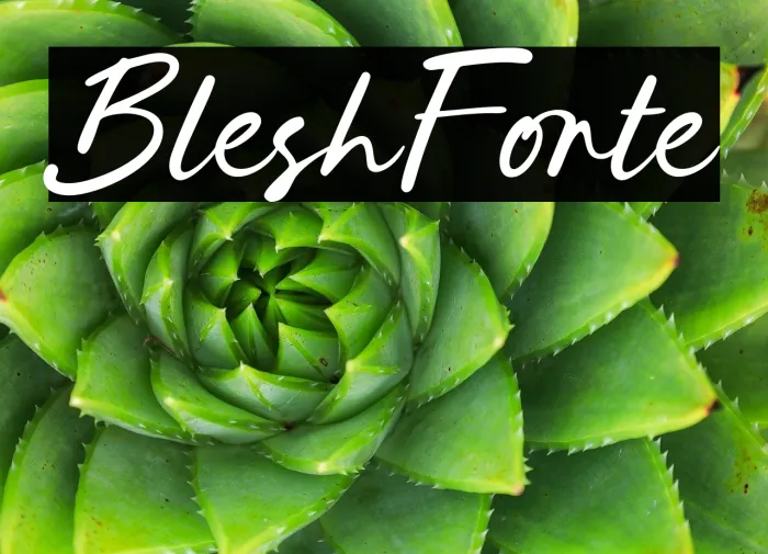 Blesh Forte Example 1