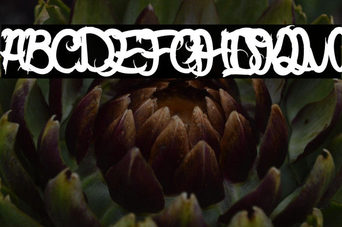 Bless The Galling Example 3