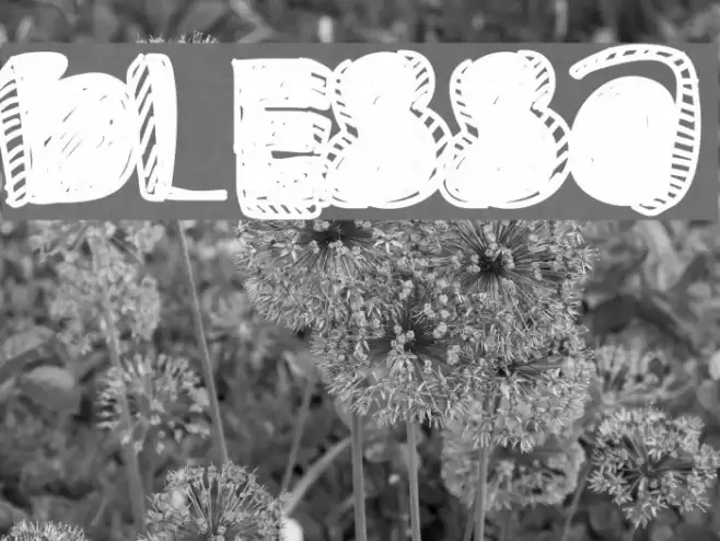 Blessa Font examples