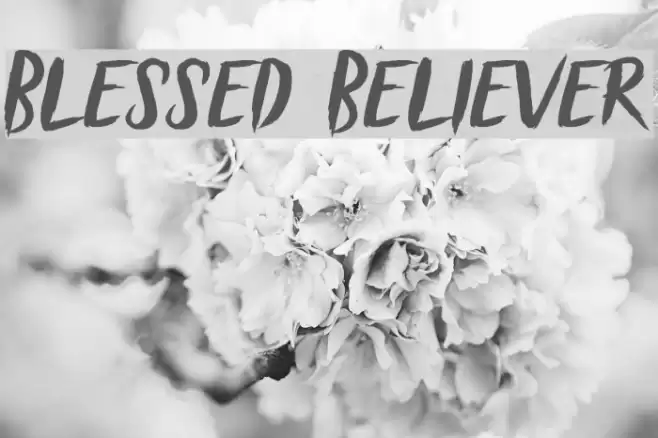 Blessed Believer Font examples