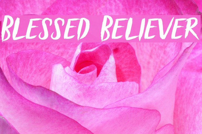 Blessed Believer Example 2