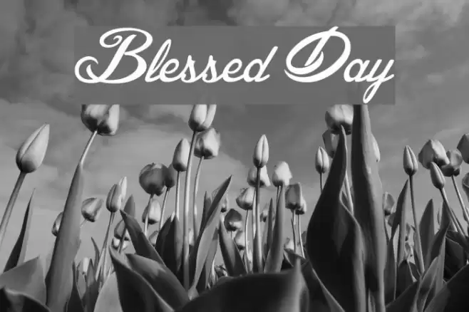 Blessed Day Font examples