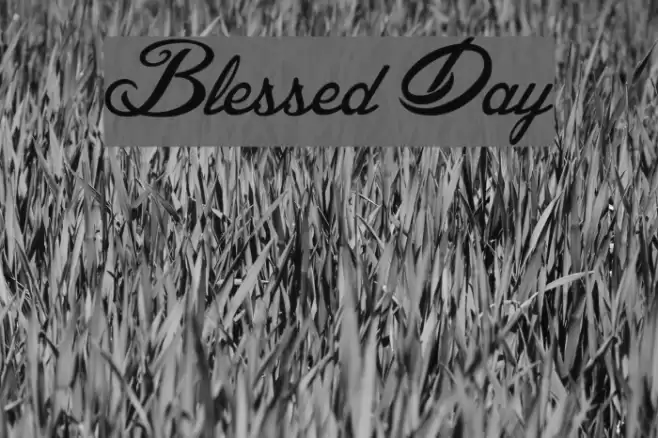 Blessed Day Font examples