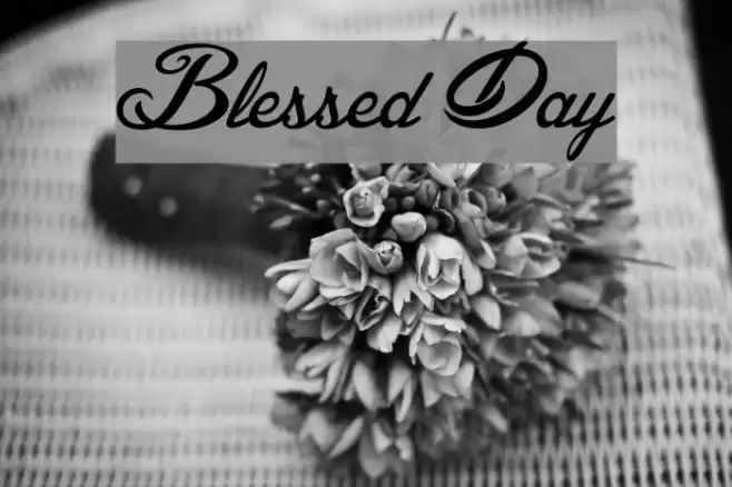 Blessed Day Font examples