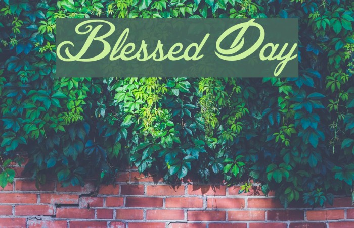 blessed-day-font-ffonts