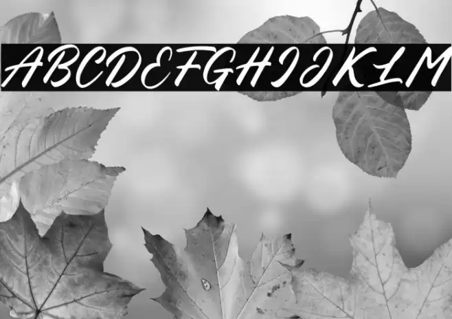 Blessed Friday Rounded Font examples