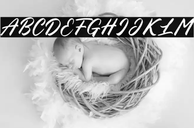 Blessed Friday Rounded Font examples