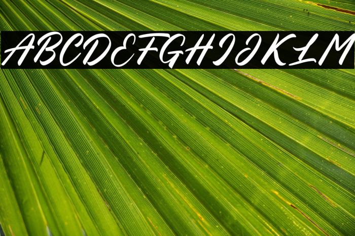 Blessed Friday Example 1