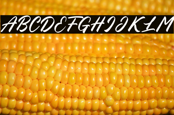 Blessed Friday Example 2