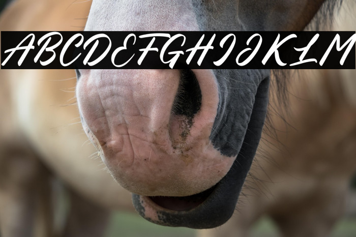 Blessed Friday Example 3