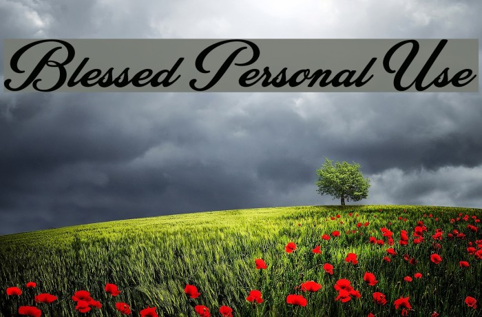 Blessed Personal Use Font examples