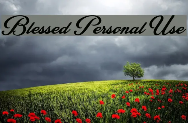 Blessed Personal Use Example 2